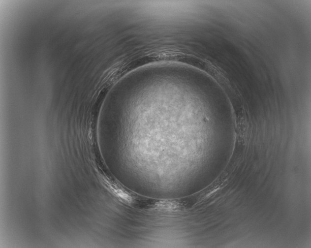 X0000052640762200507082005