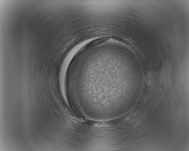 X0000052640763200507082005