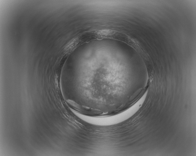 X0000052640765200507082005