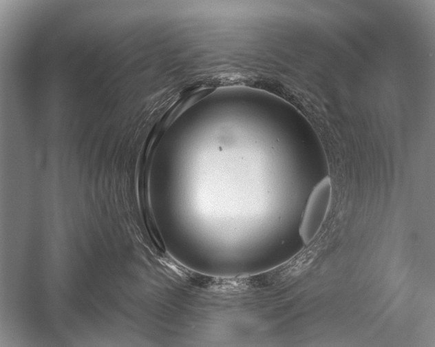 X0000052640768200507082005