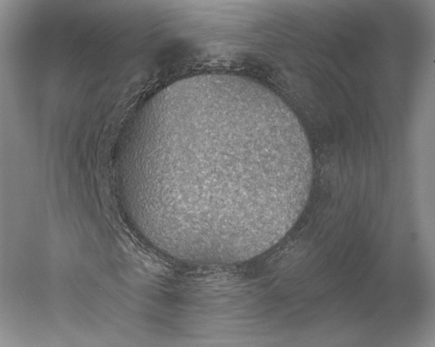 X0000052640769200507082004