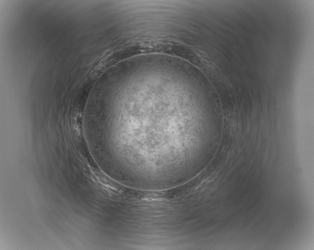 X0000052640770200507082004