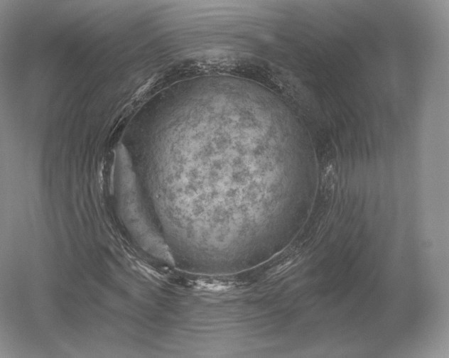 X0000052640772200507082004