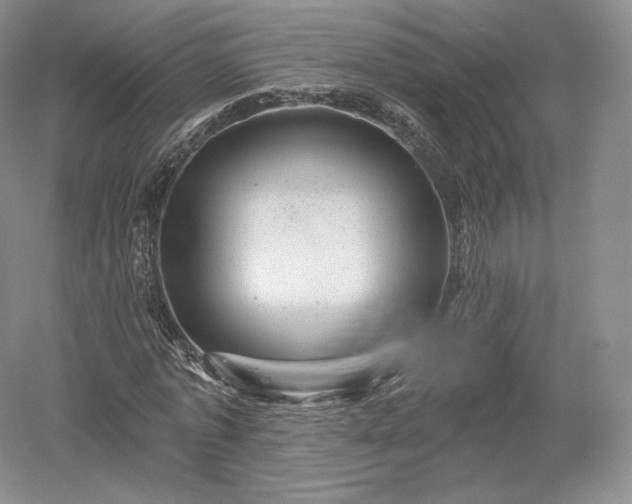 X0000052640773200507082004