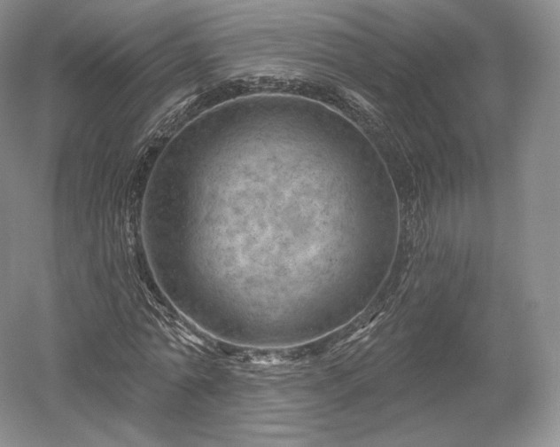 X0000052640774200507082004