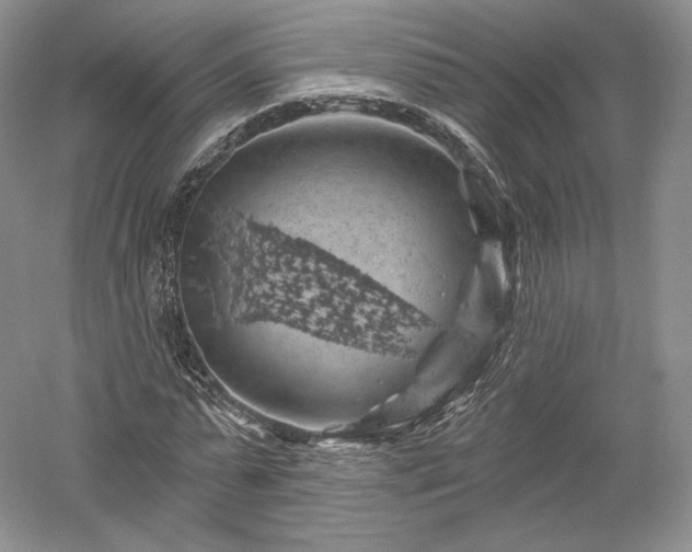 X0000052640775200507082004