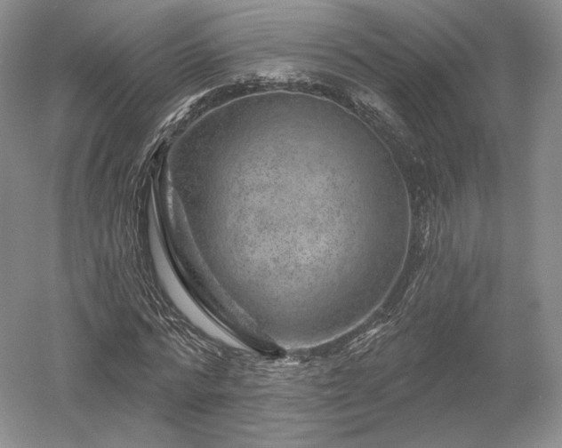 X0000052640776200507082004