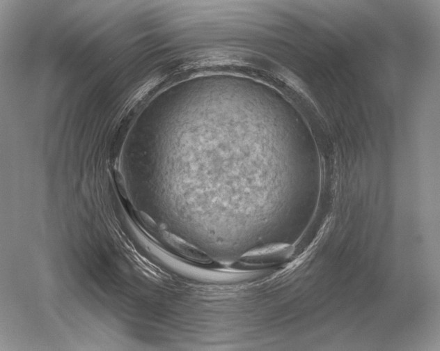 X0000052640777200507082004