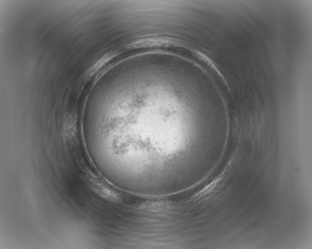 X0000052640778200507082004