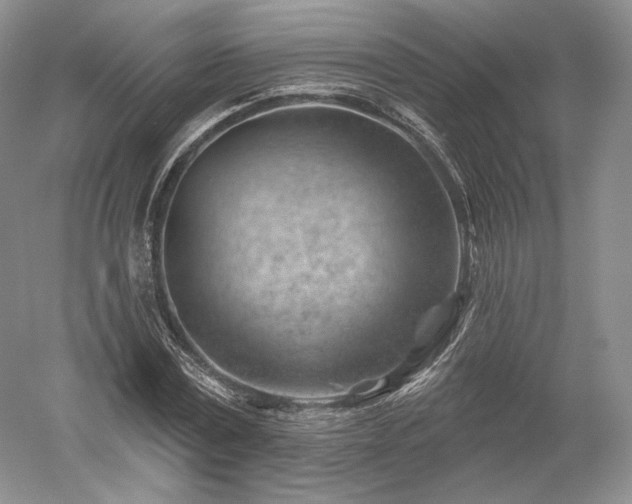 X0000052640779200507082004