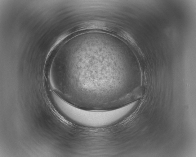 X0000052640780200507082004