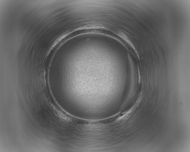 X0000052640781200507082004