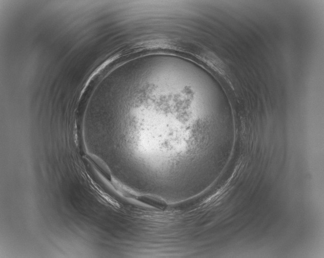 X0000052640782200507082004