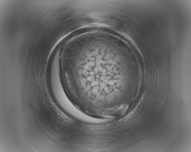 X0000052640783200507082004