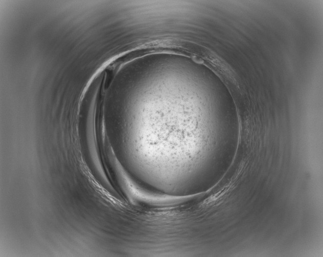 X0000052640784200507082004