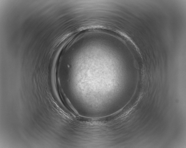 X0000052640785200507082004