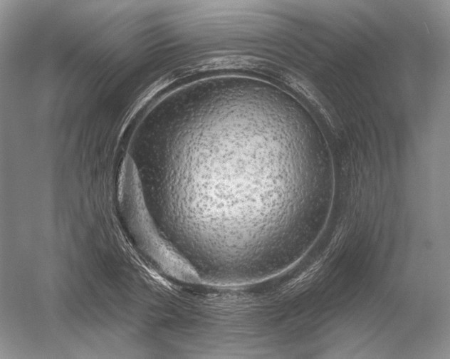 X0000052640786200507082004
