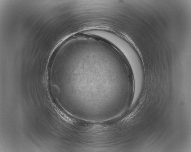 X0000052640787200507082004