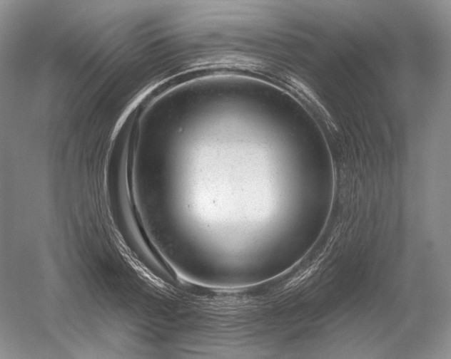 X0000052640788200507082004