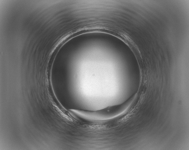 X0000052640789200507082004