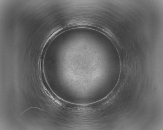 X0000052640790200507082004