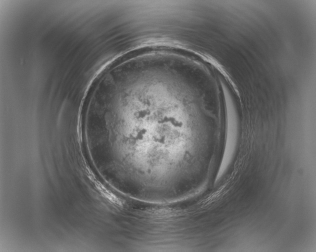 X0000052640791200507082004