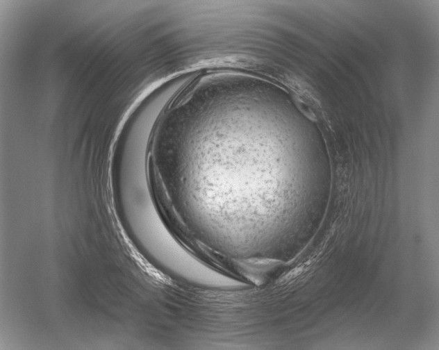 X0000052640792200507082004