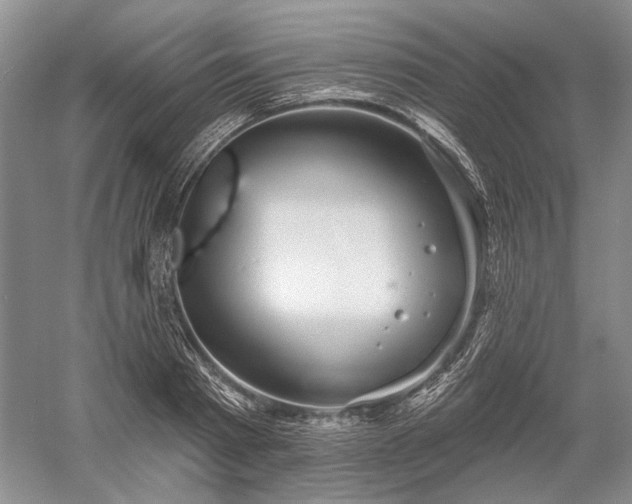 X0000052640793200507082004