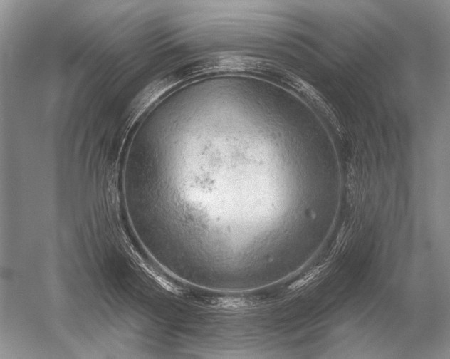 X0000052640794200507082004