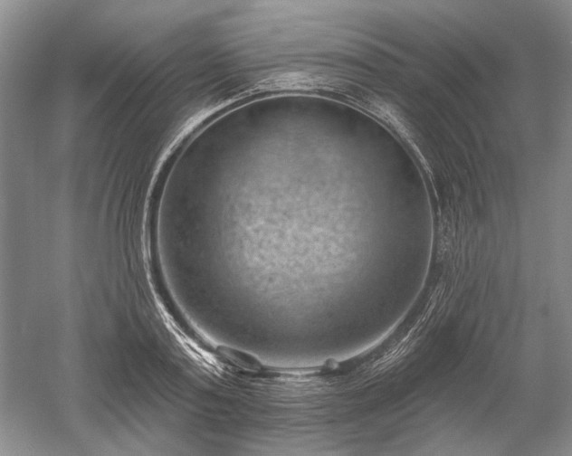 X0000052640795200507082004