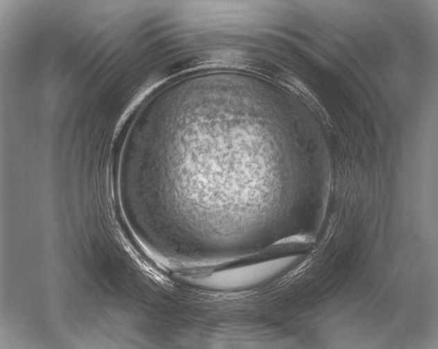 X0000052640796200507082004