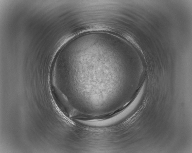 X0000052640797200507082004