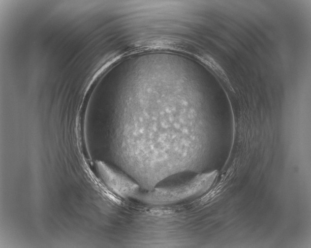 X0000052640798200507082004