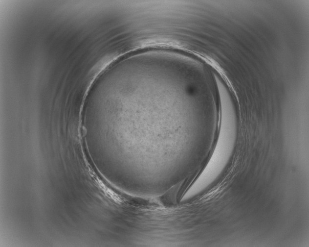 X0000052640799200507082004