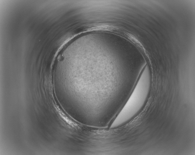 X0000052640800200507082004