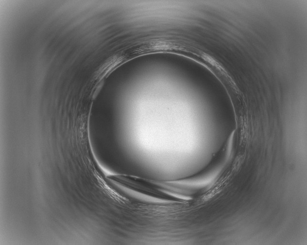 X0000052640801200507082004