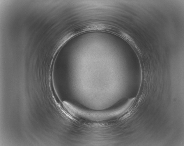 X0000052640802200507082004