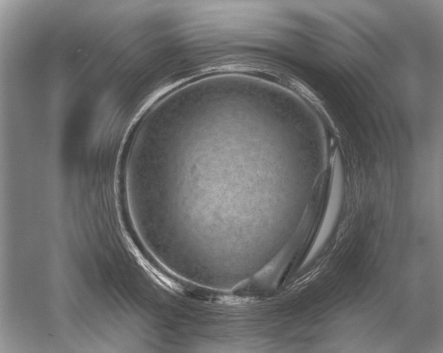 X0000052640803200507082004