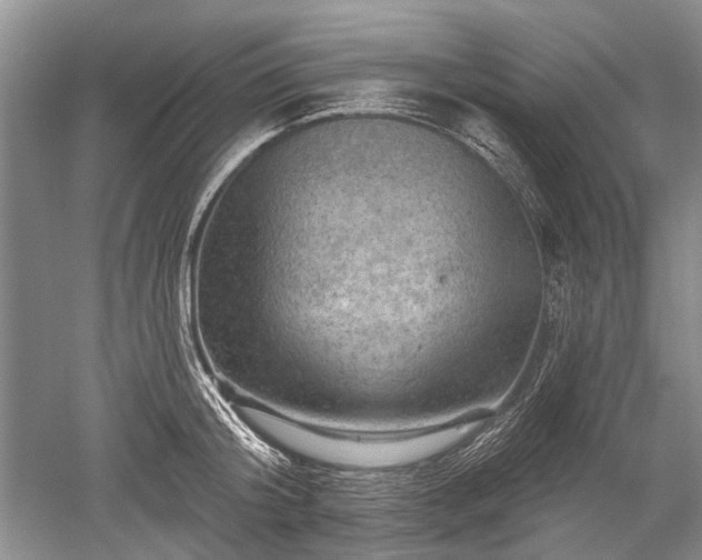 X0000052640804200507082004