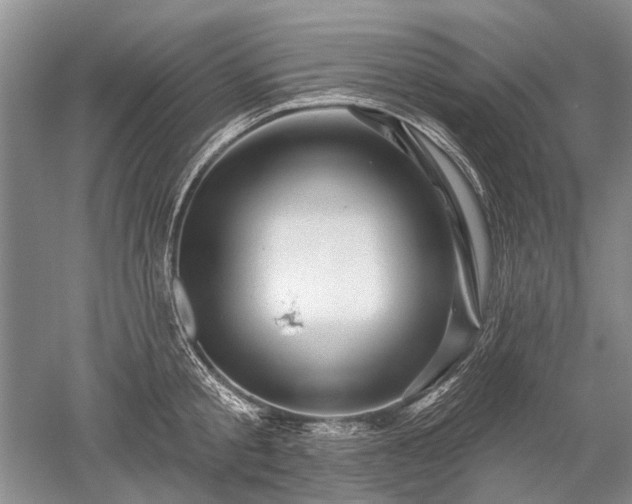 X0000052640805200507082004