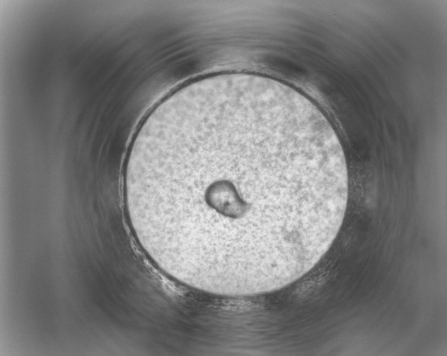 X0000052640807200507082004