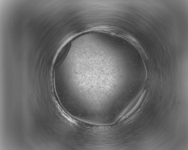 X0000052640808200507082004