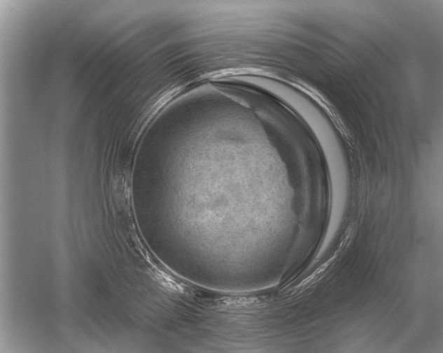 X0000052640809200507082004