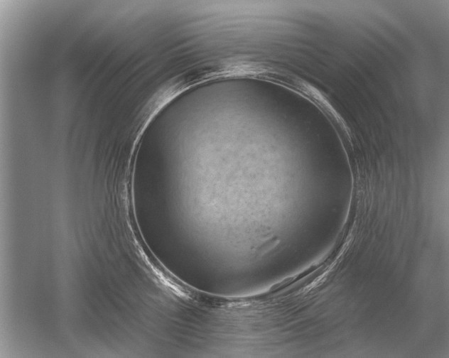 X0000052640810200507082004