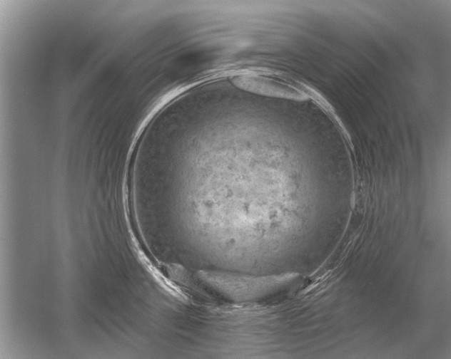 X0000052640811200507082004