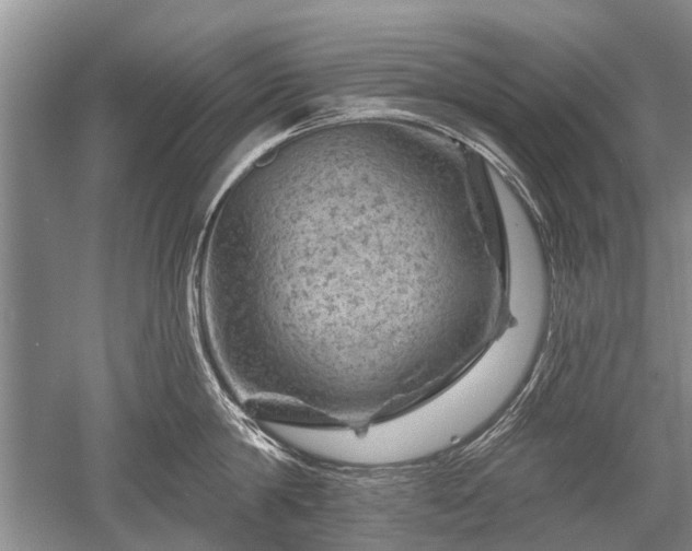 X0000052640814200507082004