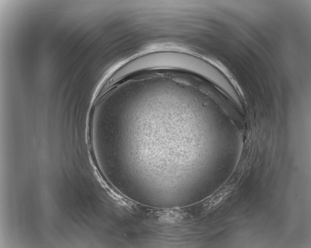 X0000052640815200507082004