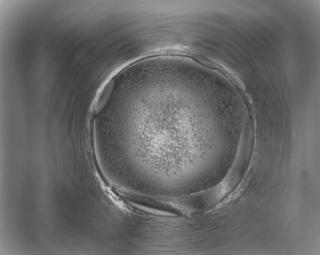 X0000052640816200507082004