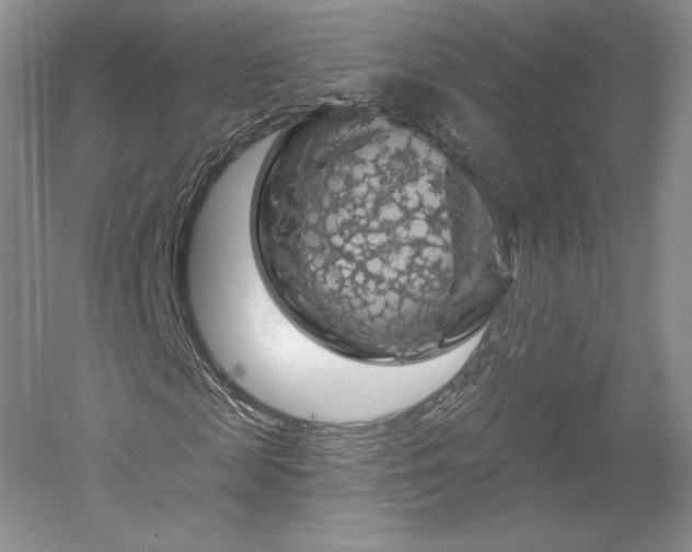 X0000052640817200507082003