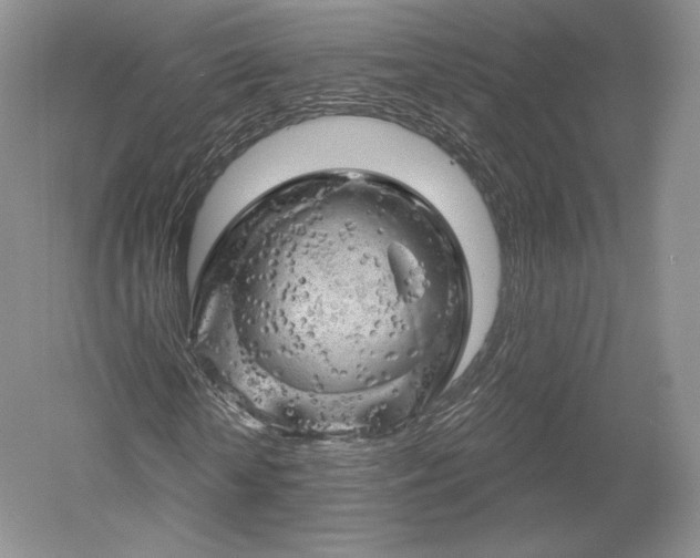 X0000052640818200507082003